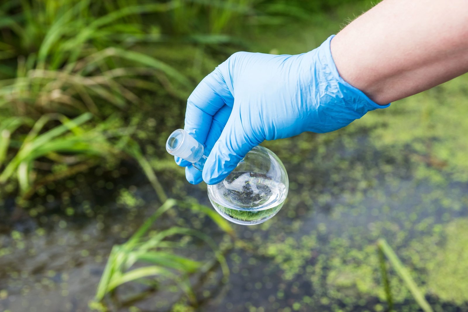 Why Better Water at Home Is One of the Smartest Investments You Can Make
